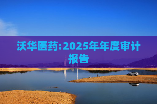 沃华医药:2025年年度审计报告