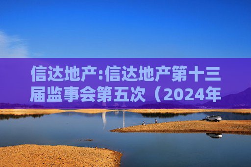 信达地产:信达地产第十三届监事会第五次（2024年度）会议决议公告  第1张