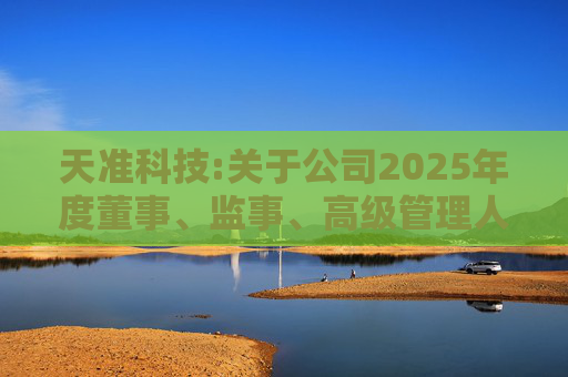 天准科技:关于公司2025年度董事、监事、高级管理人员薪酬方案的公告