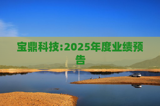 宝鼎科技:2025年度业绩预告