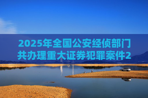 2025年全国公安经侦部门共办理重大证券犯罪案件200余起