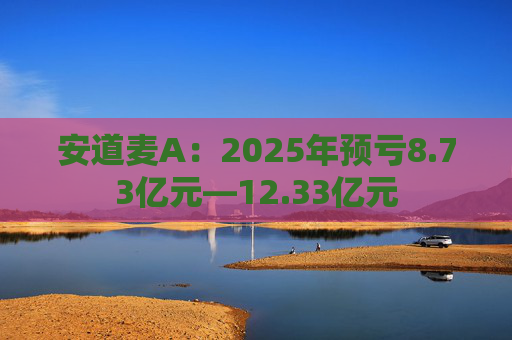 安道麦A：2025年预亏8.73亿元—12.33亿元