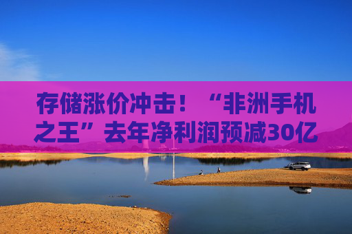 存储涨价冲击！“非洲手机之王”去年净利润预减30亿元