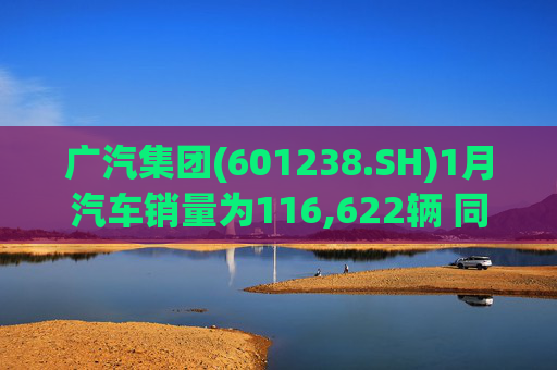 广汽集团(601238.SH)1月汽车销量为116,622辆 同比增长18.47%  第1张