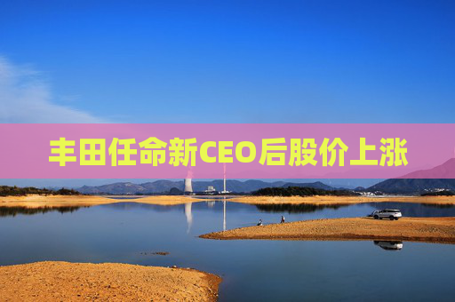 丰田任命新CEO后股价上涨