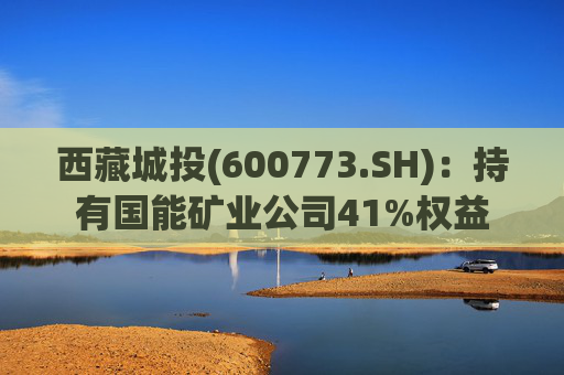西藏城投(600773.SH)：持有国能矿业公司41%权益