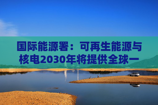 国际能源署：可再生能源与核电2030年将提供全球一半电力