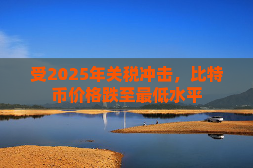 受2025年关税冲击，比特币价格跌至最低水平
