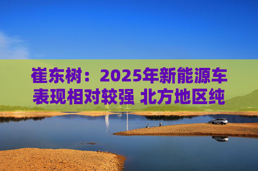 崔东树：2025年新能源车表现相对较强 北方地区纯电动占比提升明显