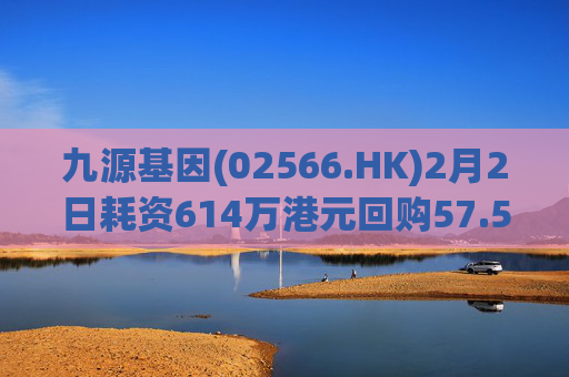 九源基因(02566.HK)2月2日耗资614万港元回购57.5万股  第1张