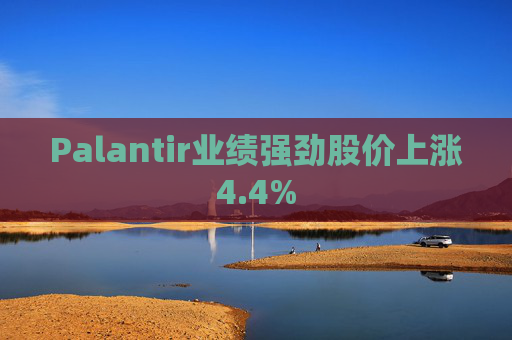 Palantir业绩强劲股价上涨4.4%