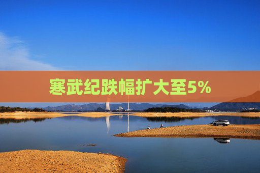 寒武纪跌幅扩大至5%