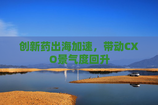 创新药出海加速，带动CXO景气度回升
