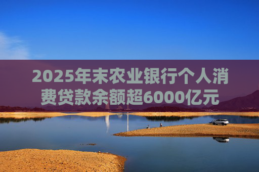 2025年末农业银行个人消费贷款余额超6000亿元