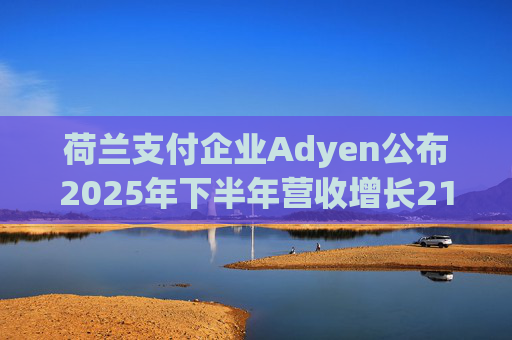 荷兰支付企业Adyen公布2025年下半年营收增长21%