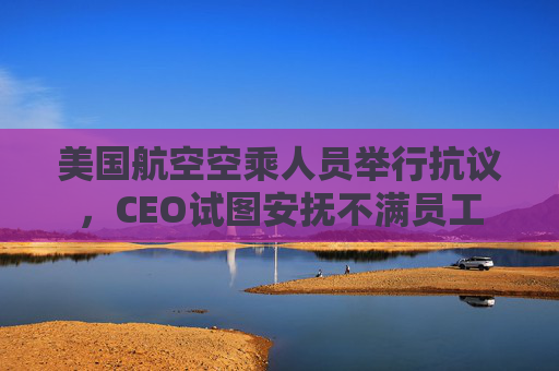 美国航空空乘人员举行抗议，CEO试图安抚不满员工