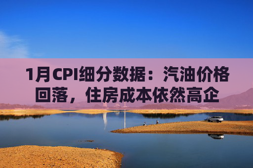 1月CPI细分数据：汽油价格回落，住房成本依然高企