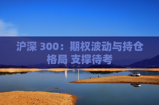沪深 300：期权波动与持仓格局 支撑待考  第1张