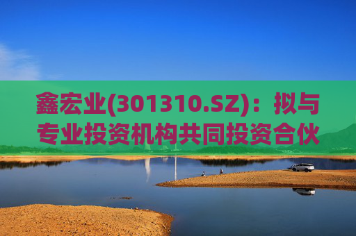 鑫宏业(301310.SZ)：拟与专业投资机构共同投资合伙企业