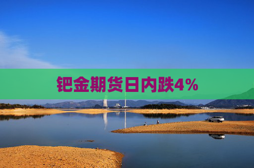 钯金期货日内跌4%