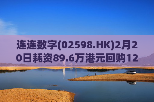连连数字(02598.HK)2月20日耗资89.6万港元回购12.3万股