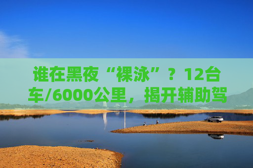 谁在黑夜“裸泳”？12台车/6000公里，揭开辅助驾驶的夜盲真相