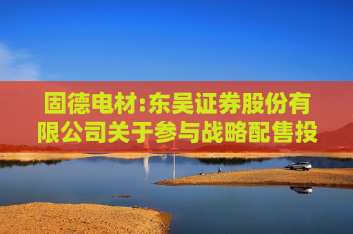 固德电材:东吴证券股份有限公司关于参与战略配售投资者的专项核查报告