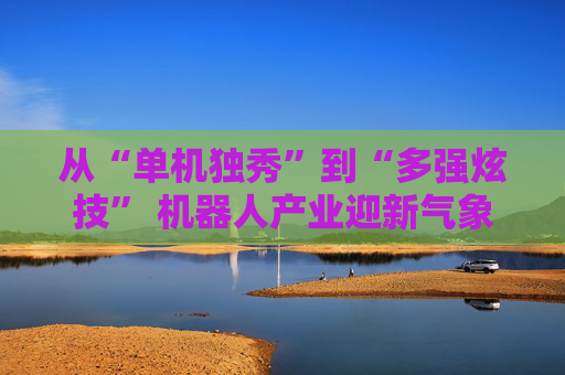 从“单机独秀”到“多强炫技” 机器人产业迎新气象