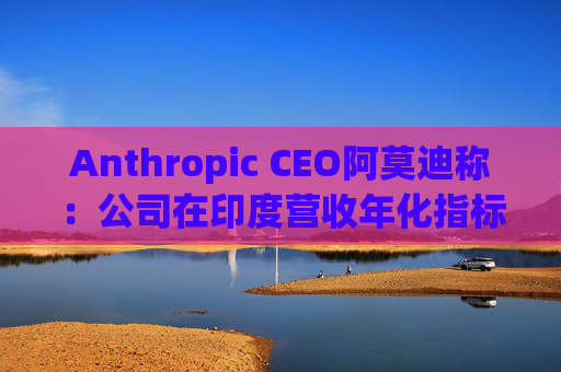 Anthropic CEO阿莫迪称：公司在印度营收年化指标4个月内翻倍