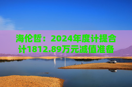 海伦哲：2024年度计提合计1812.89万元减值准备