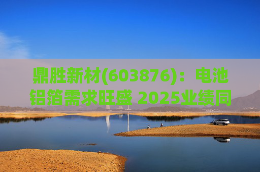 鼎胜新材(603876)：电池铝箔需求旺盛 2025业绩同比高增