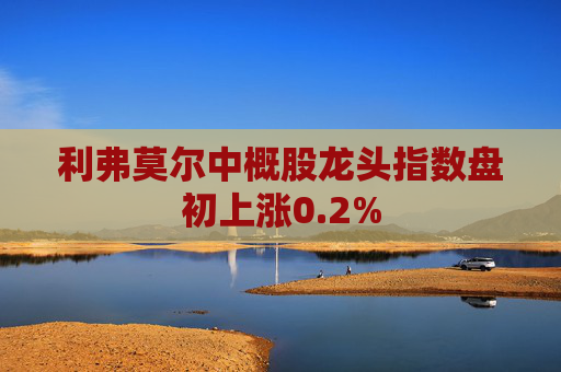 利弗莫尔中概股龙头指数盘初上涨0.2%