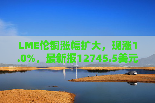LME伦铜涨幅扩大，现涨1.0%，最新报12745.5美元/吨