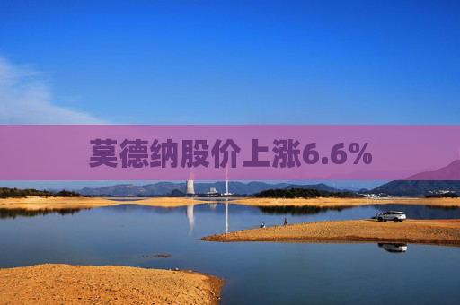 莫德纳股价上涨6.6%
