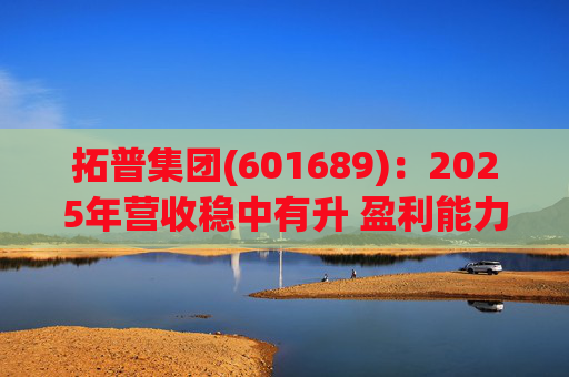 拓普集团(601689)：2025年营收稳中有升 盈利能力短期承压