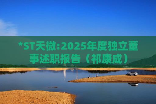 *ST天微:2025年度独立董事述职报告（祁康成）