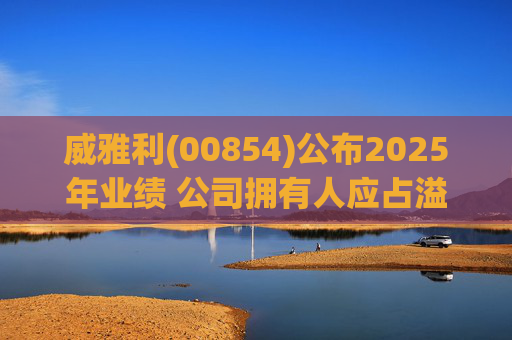 威雅利(00854)公布2025年业绩 公司拥有人应占溢利5095.8万港元