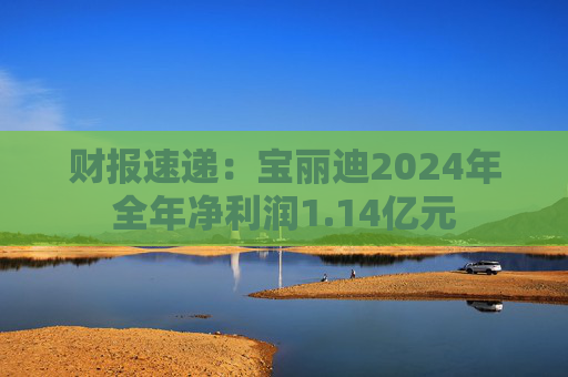 财报速递：宝丽迪2024年全年净利润1.14亿元