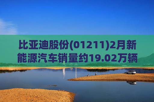 比亚迪股份(01211)2月新能源汽车销量约19.02万辆