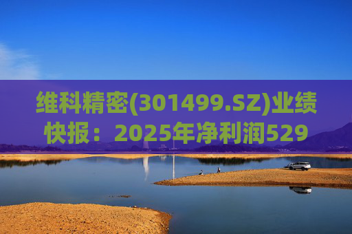 维科精密(301499.SZ)业绩快报：2025年净利润5293.82万元 同比增长16.85%