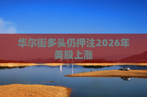 华尔街多头仍押注2026年美股上涨