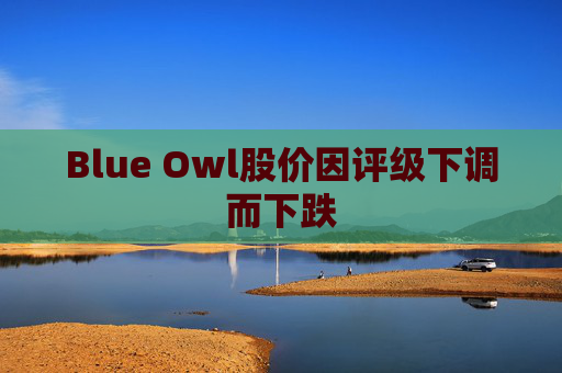 Blue Owl股价因评级下调而下跌