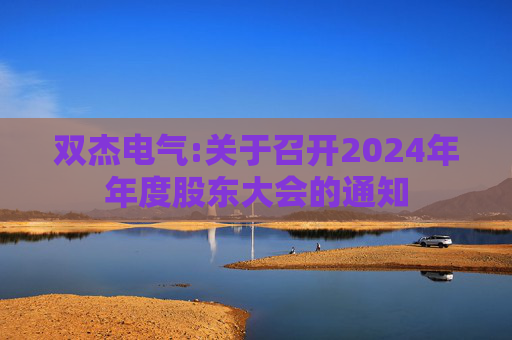 双杰电气:关于召开2024年年度股东大会的通知  第1张