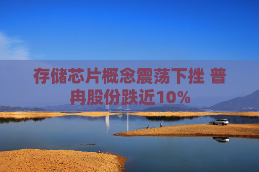 存储芯片概念震荡下挫 普冉股份跌近10%