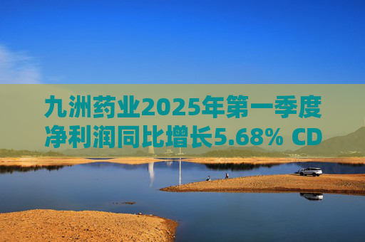 九洲药业2025年第一季度净利润同比增长5.68% CDMO业务稳步提升  第1张