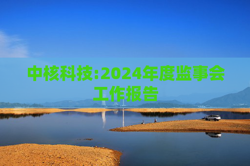 中核科技:2024年度监事会工作报告