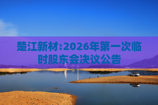 楚江新材:2026年第一次临时股东会决议公告