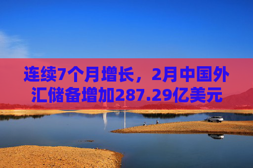 连续7个月增长，2月中国外汇储备增加287.29亿美元