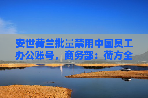 安世荷兰批量禁用中国员工办公账号，商务部：荷方全责