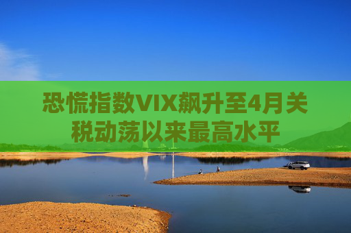 恐慌指数VIX飙升至4月关税动荡以来最高水平